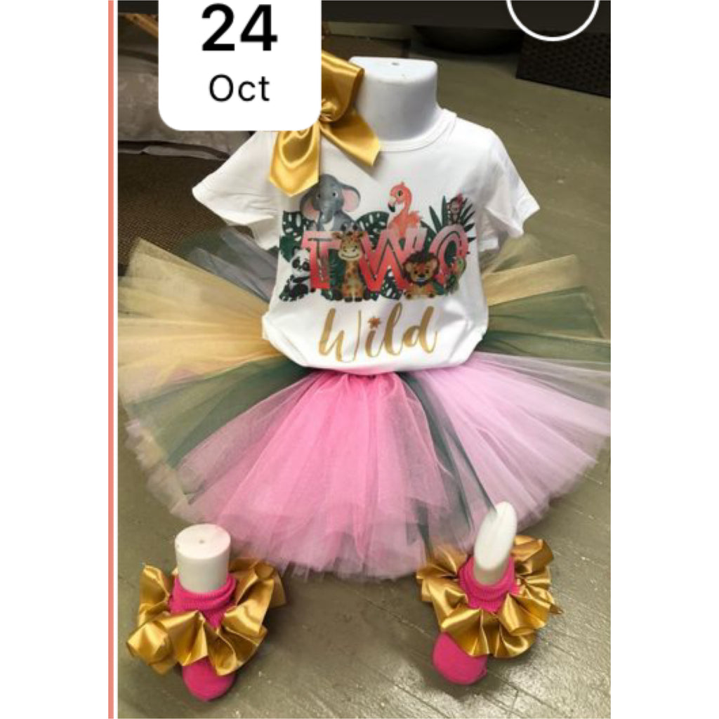 lil girl tutu outfit event,  all about me, birthday, wild party