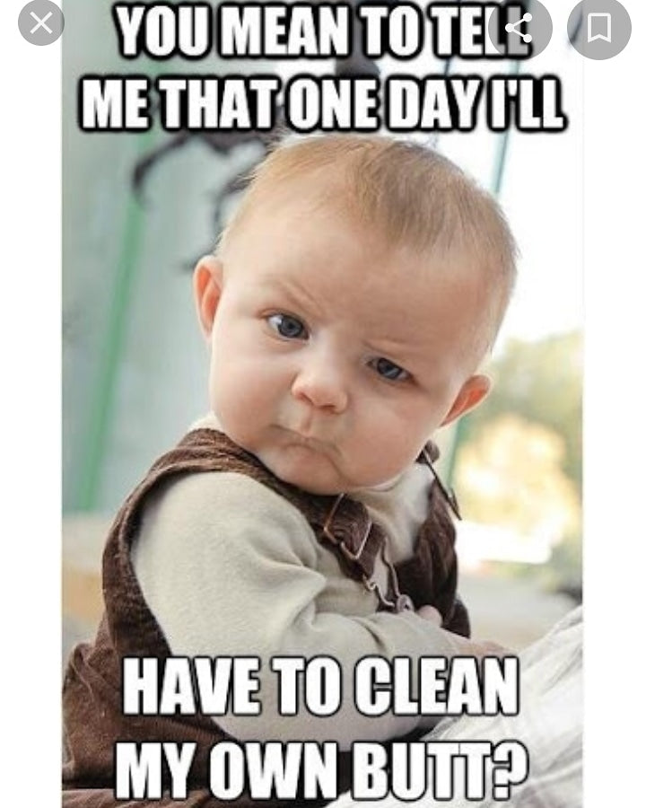 Potty training E Book